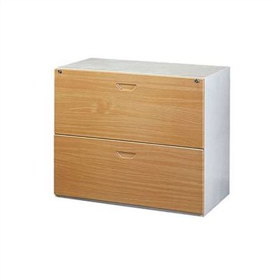 24502-WD-2 鋼木雙抽屜櫃
